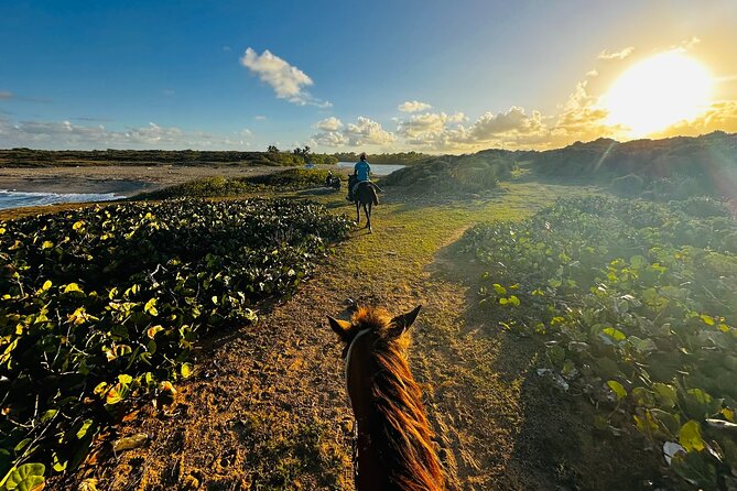 Sunset Horseback Ride at Macao Beach & Forest with Transfers - Hotel pickup and transfers: the real value is less thinking