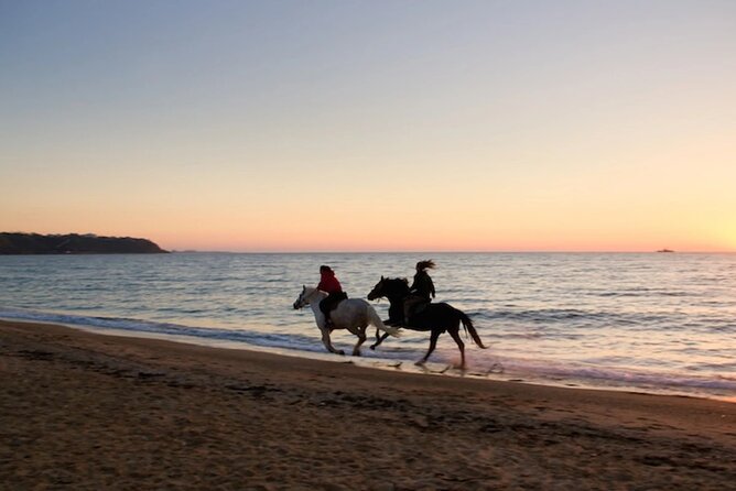 Sunset Horseback Riding in Puerto Plata - Pickup to saddle up, how the timing and transport feel