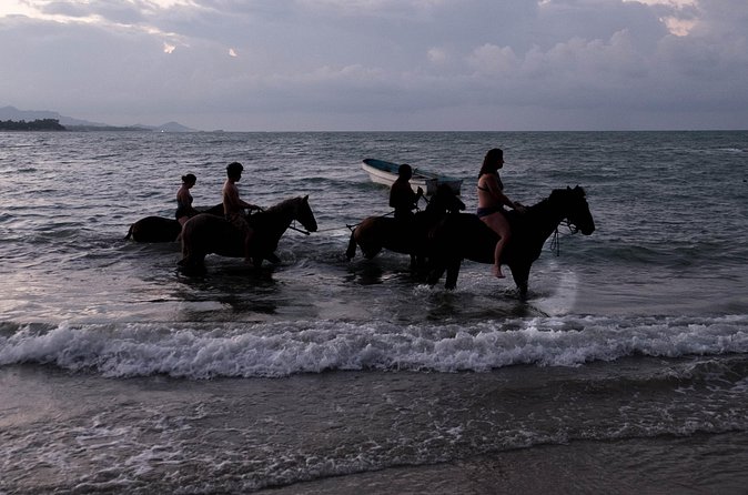 Sunset Horseback Riding in Puerto Plata - The beach ride at sunset, what you will actually see and feel