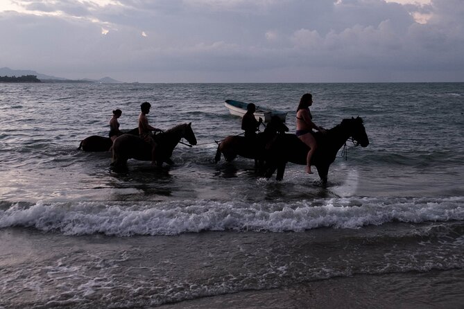 Sunset Horseback Riding in Puerto Plata - Price and value: is $69 a fair deal in Puerto Plata?