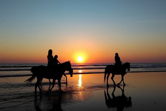 Sunset Horseback Riding in Puerto Plata - Where you start, and why the malecon stop sets the mood