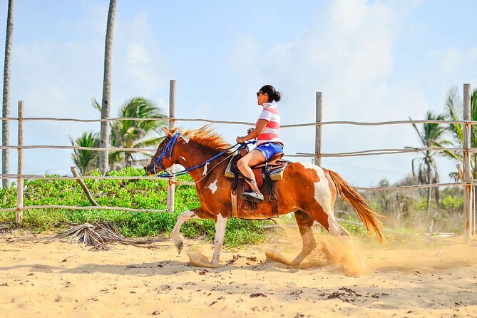 Sunset Horseback Riding Tour in Punta Cana (Private Option) - Forest trail to Boca de Maimón: the “wait, this is gorgeous” moment