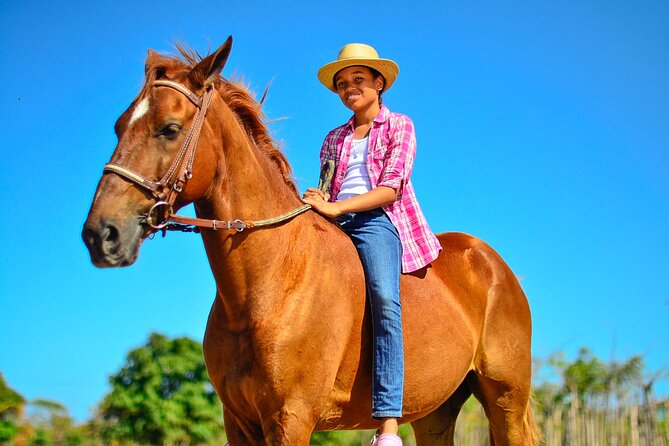 Sunset Horseback Riding Tour in Punta Cana (Private Option) - Hotel pickup to Macao Beach: how the ride stays easy