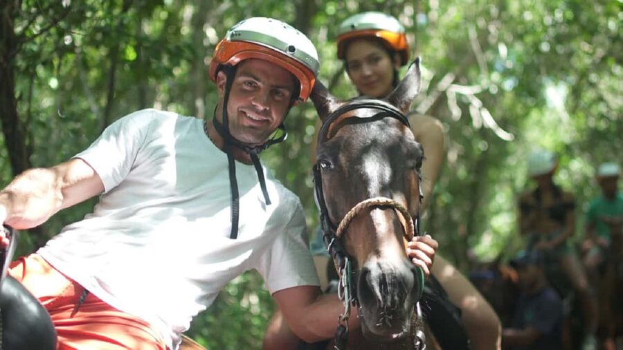 Swim Horse fom Punta Cana - What You’re Really Getting With Swim Horse From Punta Cana