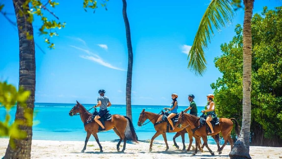 Swim Horse fom Punta Cana - Natural Springs With Turquoise Water: The Mid-Route Break