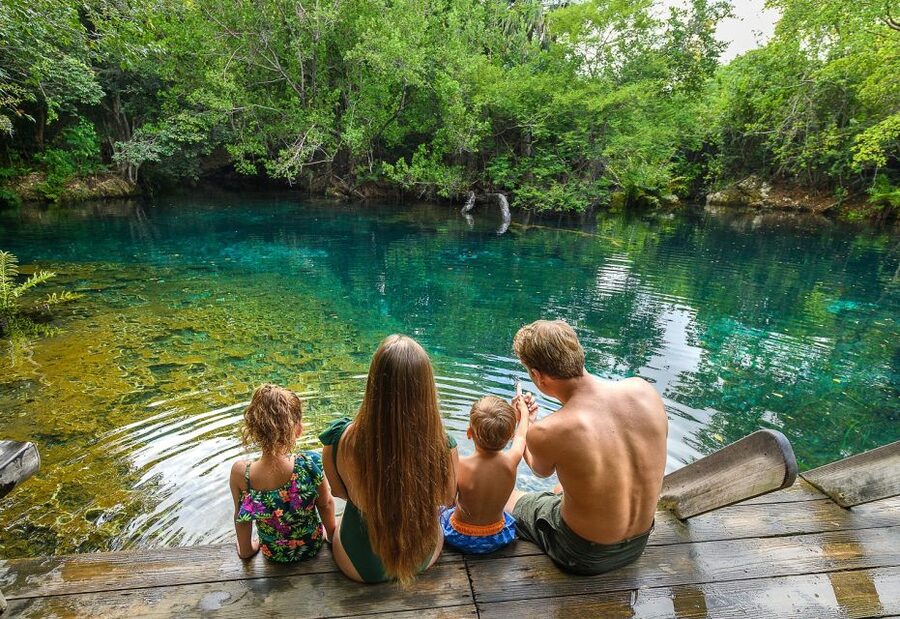 Swim Horse fom Punta Cana - The Taíno Connection: History Delivered in a Walk-and-Ride Way
