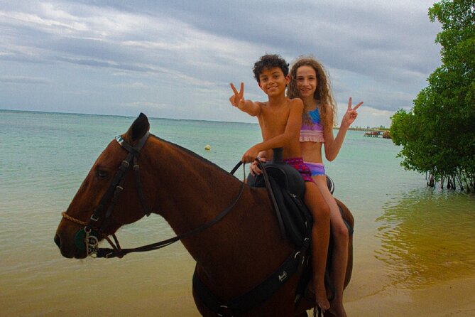 Swimming with Horses at the Beach from Punta Cana Free transportation - Indigenous Eyes reserve: Taino setting, springs, and cobbled paths