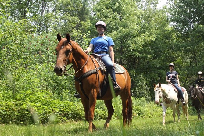 Swimming with Horses at the Beach from Punta Cana Free transportation - What to wear and bring for horse swimming comfort
