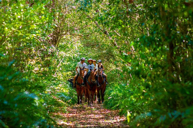Swimming with Horses at the Beach from Punta Cana Free transportation - Timing and ride pace: plan for about 4 to 5 hours