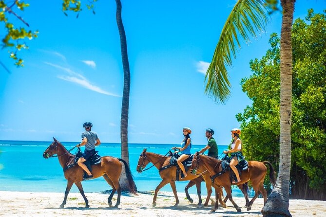 Swimming with Horses at the Beach from Punta Cana Free transportation - From the PuntaCana forest to the horse room by the sea