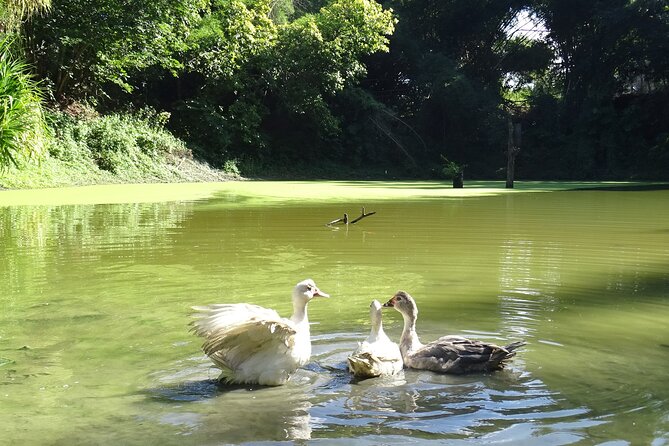 Taino Valley Tropical Park Puerto Plata Tubagua - 4 to 5 hours in Puerto Plata: how the timing works