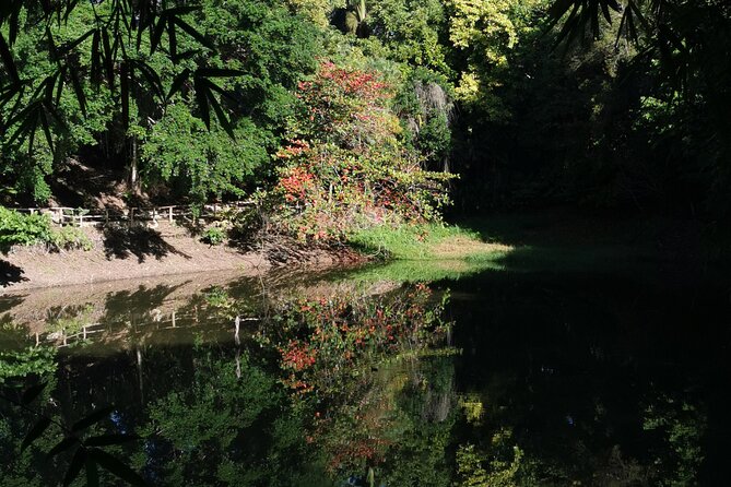 Taino Valley Tropical Park Puerto Plata Tubagua - Price and value check: is $79 a good deal?