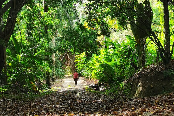 Taino Valley Tropical Park Puerto Plata Tubagua - Practical tips to make your visit smoother