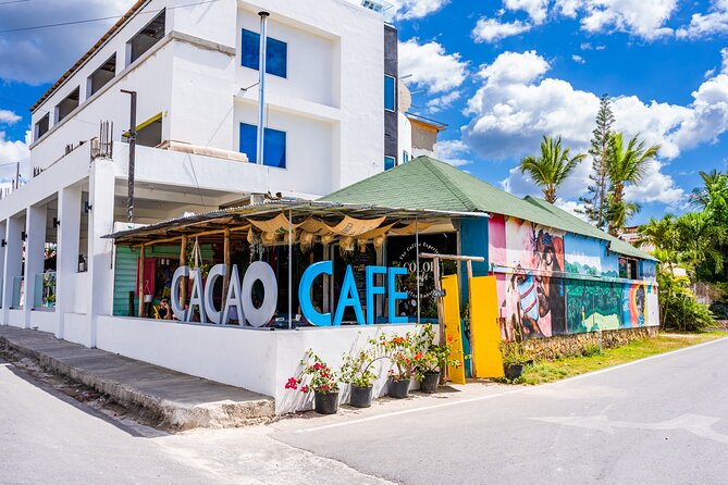 The Coffee Experience - Quick reasons this Dominicus coffee workshop works