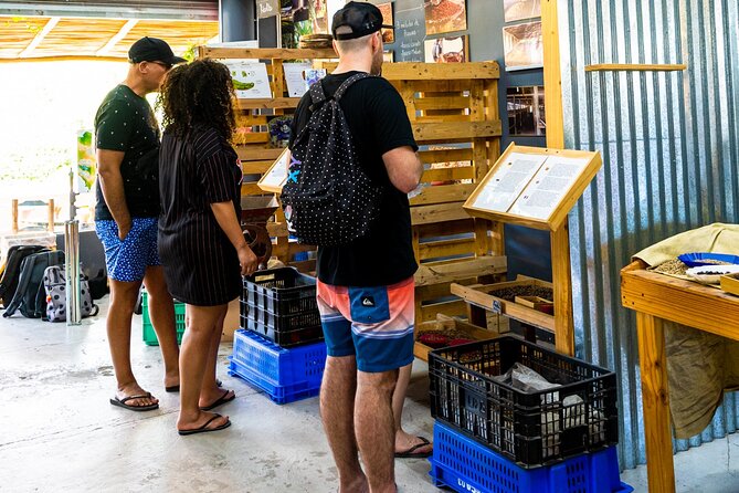 The Coffee Experience - Harvest and mountain-growing: the lesson that makes tasting make sense