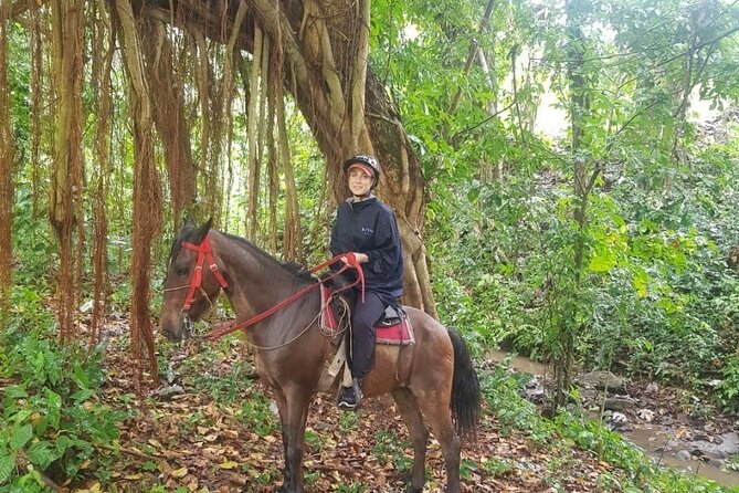 The Ultimate Dominican Horseback Riding Adventure - Key Highlights You Can Actually Plan Around