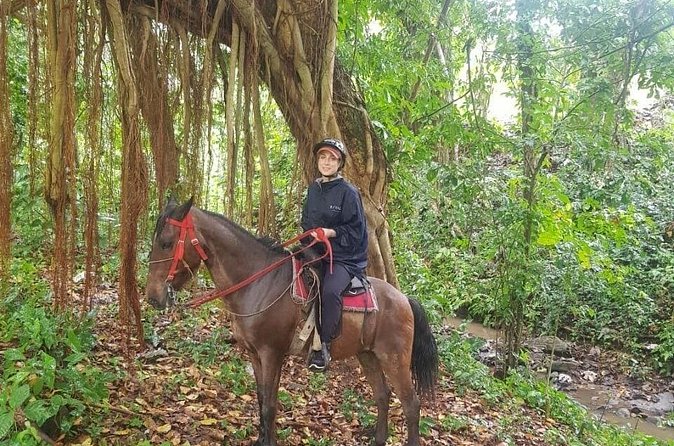 The Ultimate Dominican Horseback Riding Adventure - The 2.5-Hour Ride: Cattle, Tropical Trails, Ponds, and Hills