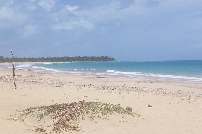 Tour to Montana Redonda and Emerald Coast Beach - Guides, Personality, and Photo Help That Changes the Day