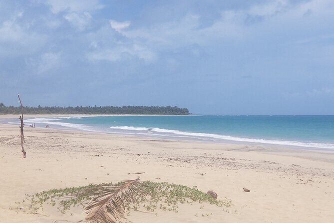 Tour to Montana Redonda (Round Montain) & Costa Esmeralda Beach - Playa Esmeralda: A Forest-to-Beach Change of Pace