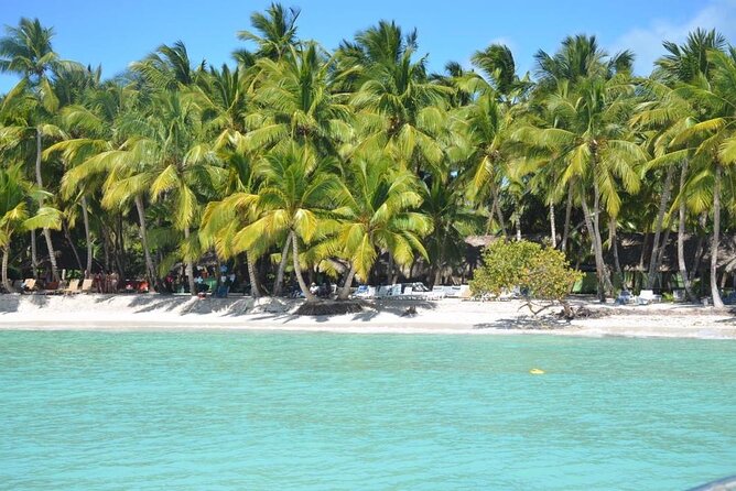 Tour to Saona Island with Lunch and Transportation - Price and Value: Why $75 Can Still Feel Fair