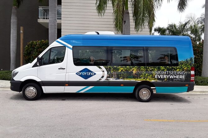 Transfers from Punta Cana - Hotel Pickup and Airport Drop-Off: What Makes It Work