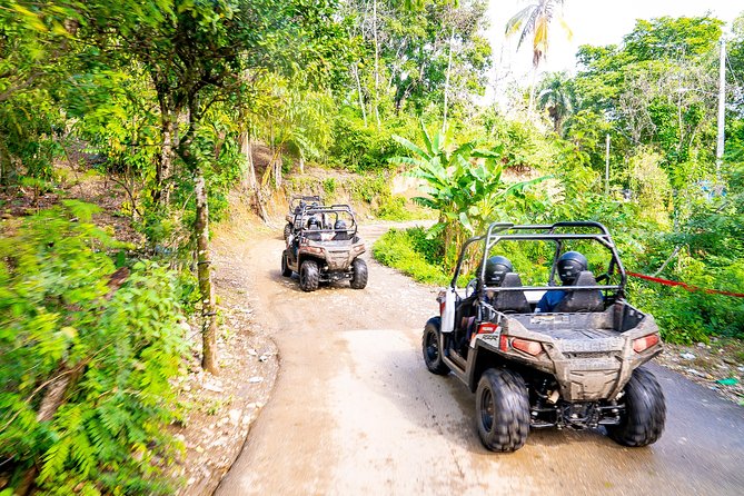 Triple fun! Monkeyland + Damajagua Waterfalls + Buggies from Puerto Plata - The 7:00 am Start and Ride Out on an Open-Air Safari Truck