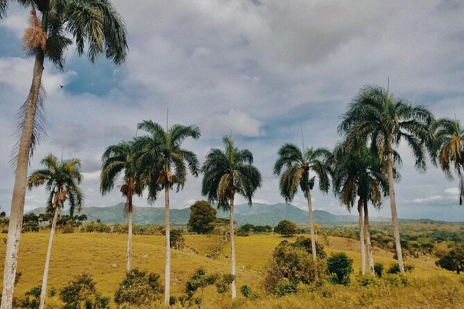 Tropical Escape Tour - Lunch and drinks: included, and usually the comfort break you need