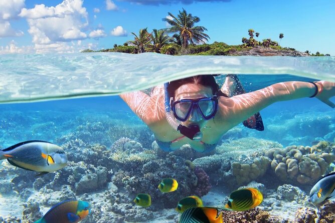 Tropical Punta Cana Booze Cruise – Snorkel, Sandbar & Party Vibes - A 4-hour Punta Cana party boat that actually has a plan