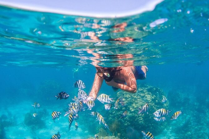 Tropical Punta Cana Booze Cruise – Snorkel, Sandbar & Party Vibes - Timing, group size, and weather reality in Punta Cana