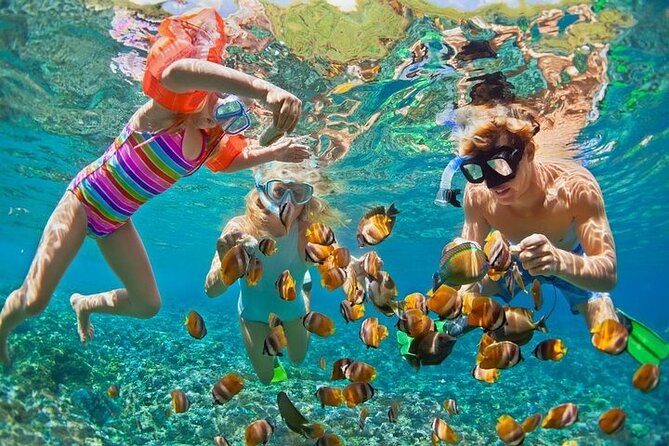Tropical Punta Cana Booze Cruise – Snorkel, Sandbar & Party Vibes - El Cortecito beach stop: quick meet-up, shaded reset