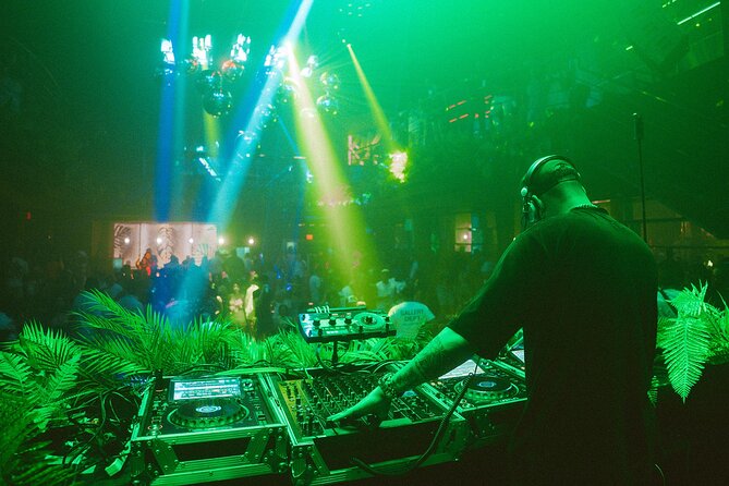 Tropicalia Disco – Party Night – Nightclub - Key Points You Should Know Before Going