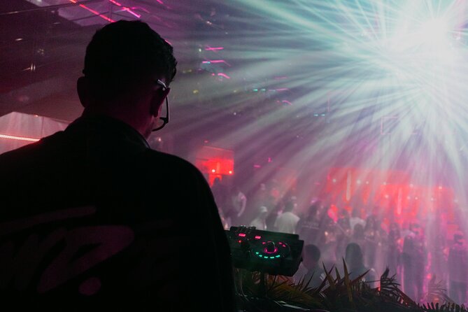 Tropicalia Disco – Party Night – Nightclub - Music Quality, Visuals, and the Club Mood That Gets You Moving