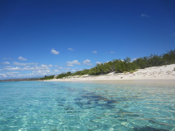 Untouched Paradise – Bahía de Las Águilas - Price and Value: What $266 Buys You for an 8-Hour Day