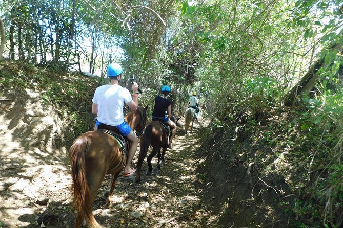 VIP DayPass: ATV, ZipLine, Horse Riding / Shore Excursion & Hotel - Tropical gardens and rescued animals: the calm ending you’ll appreciate