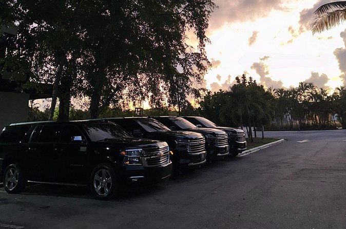 VIP Executive Airport Transfer – Luxury Ride in Punta Cana - Clean vehicles and professional drivers, the stuff that shows up fast