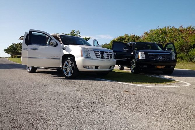 VIP Luxury Service Airport PUJ to Hotels in Dominican Republic. - The Real Value of Paying for Privacy (and When It Beats Taxis)
