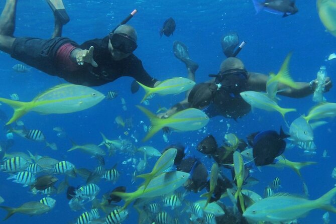 VIP Party Boat & Snorkeling - Getting on board fast: pickup, the dock, and the first friendly faces