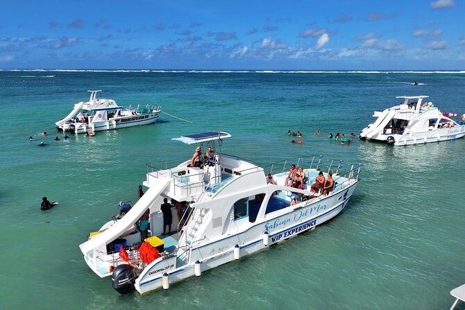 VIP Private Booze Cruise with Live Dj and BBQ in Punta Cana - Key Highlights You Should Know Before You Go