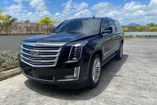 VIP transportation in ALL Punta Cana (ROUNDTRIP) - Key Things I’d Pay Attention To