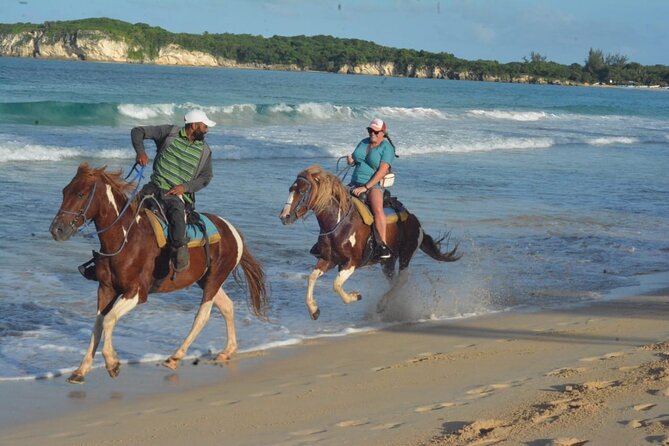 Want to Learn to Gallop at Bavaro Punta Cana Beach! - Rancho Un Regalo De Dios and the learning vibe