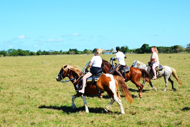 Want to Learn to Gallop at Bavaro Punta Cana Beach! - What $65.95 gets you, and what might cost extra