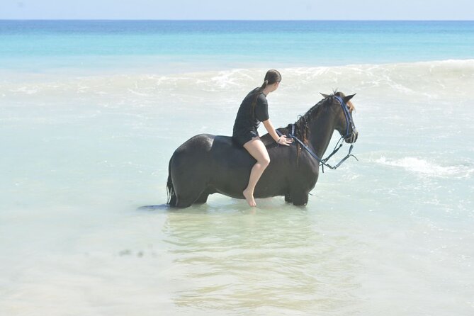 Want to Learn to Gallop at Bavaro Punta Cana Beach! - Who this tour is best for (and who should rethink it)