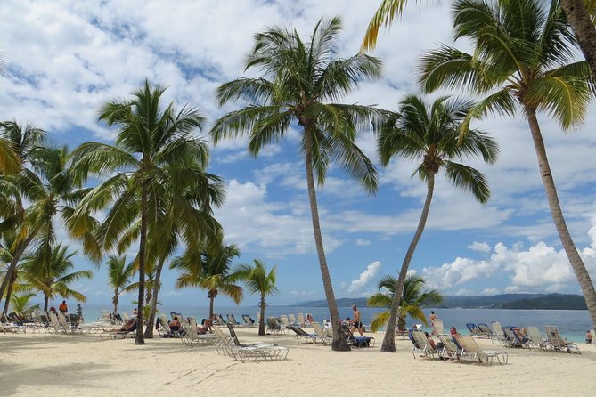 Whale Watching and Bacardi Island day trip from Punta Cana - The guide experience: spotting whales and setting the tone