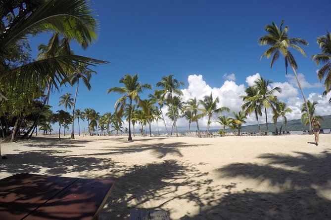 Whale Watching in Samana - Early-Morning Breakfast and the 11 to 13 Hour Reality Check