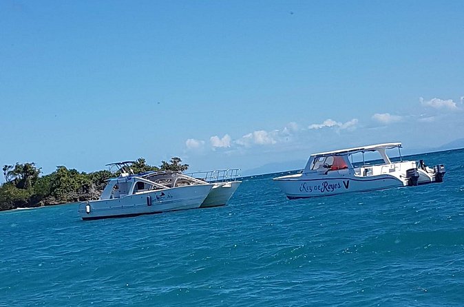 Whale Watching in Samana - Cayo Levantado (Bacardi Island): Beach Time That Actually Helps You Recover