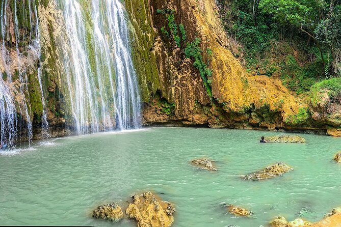 Whale Watching & Limón Waterfall Day Trip - The horseback ride through coffee, cocoa, and tropical fruit