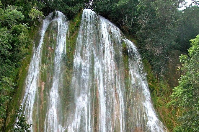 Whale Watching & Limón Waterfall Day Trip - Timing, logistics, and what to pack for a 13-hour day
