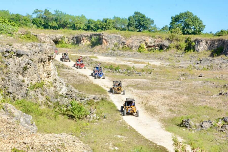 Wild Tiger Buggy: The Best Buggy Excursions in Punta Cana - The ranch tasting stop, chocolate, coffee, mamajuana, and cigars