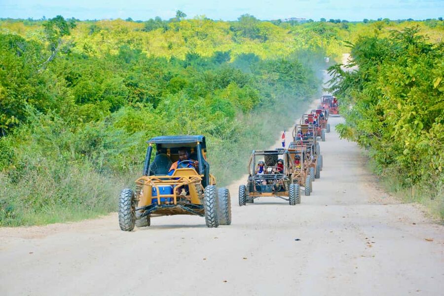Wild Tiger Buggy: The Best Buggy Excursions in Punta Cana - Price and value at about $68, plus the extra Cap Cana transport fee