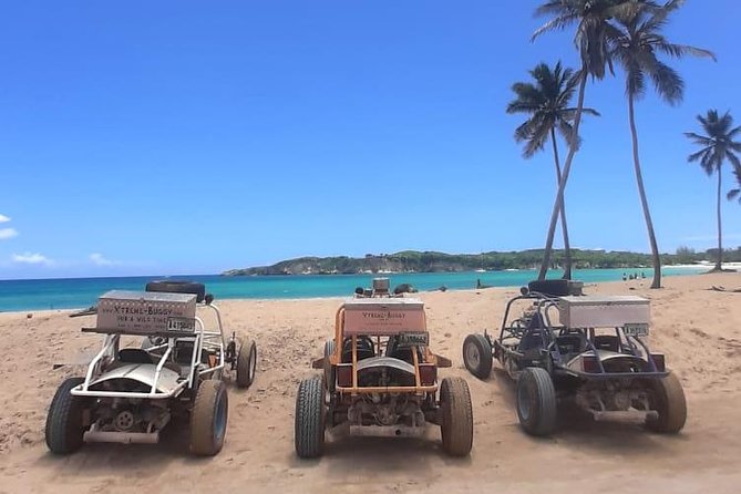 Xtreme Buggy 4 hours Dune Buggy & Country side experience - Key Takeaways Before You Go